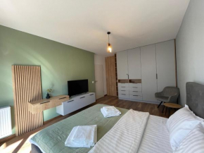 Minimalist 3 Studio Brasov